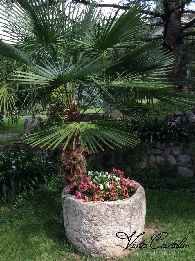 Bed and Breakfast Vista Castello Rovereto  Zewnętrze zdjęcie